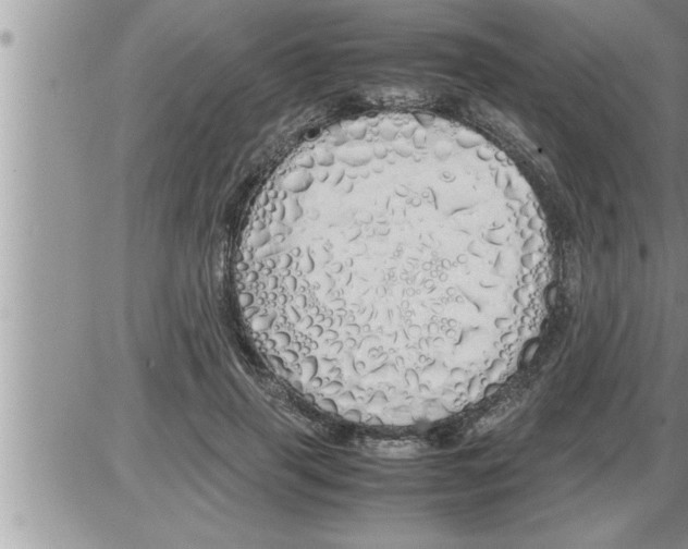 X0000086330645200704271943