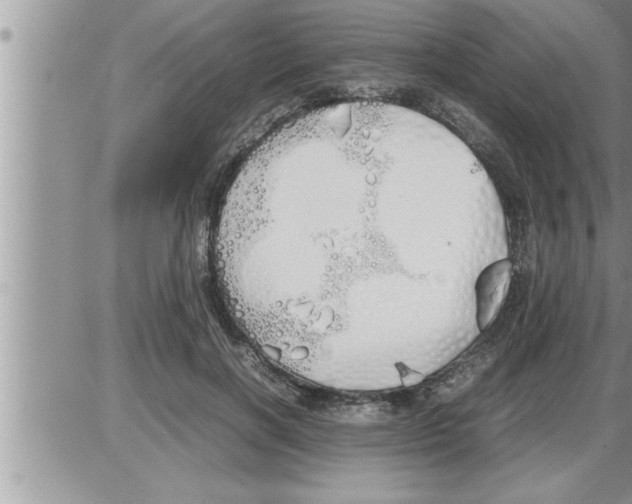 X0000086330646200704271943