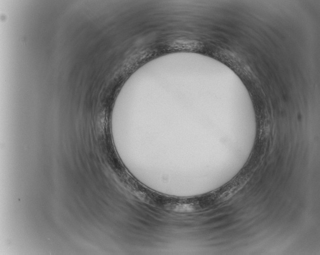 X0000086330647200704271943