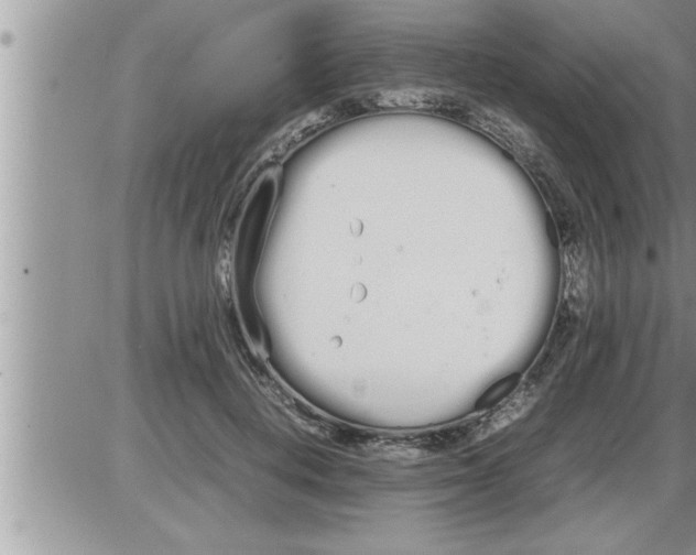 X0000086330648200704271943