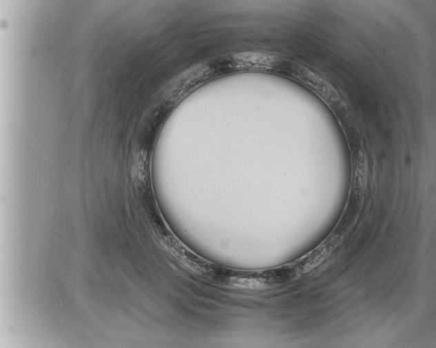 X0000086330649200704271943