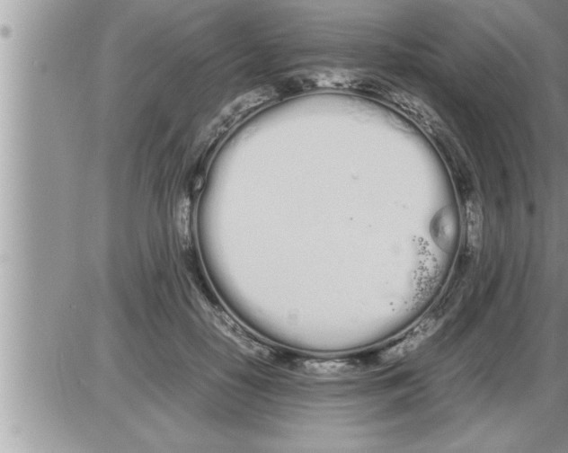 X0000086330650200704271943