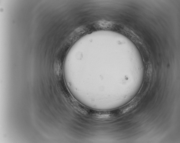 X0000086330651200704271943