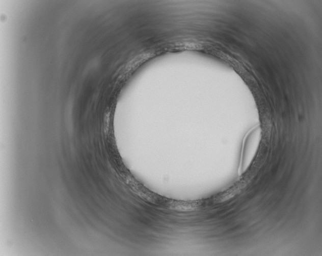 X0000086330652200704271943