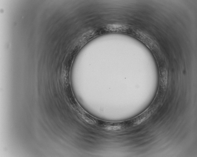 X0000086330653200704271943