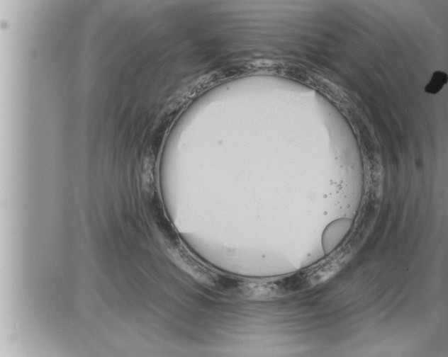 X0000086330654200704271943