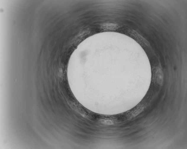 X0000086330655200704271943