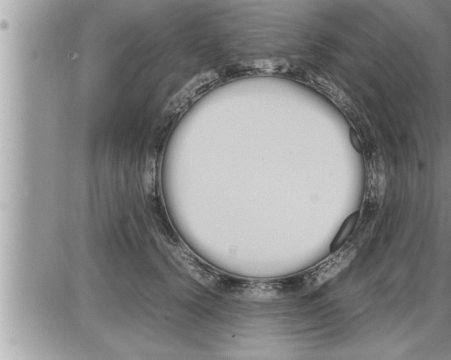 X0000086330656200704271943