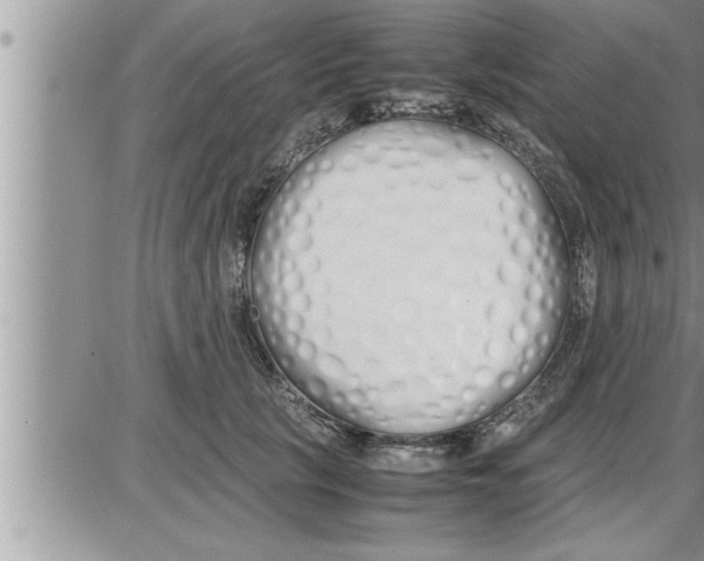 X0000086330657200704271943