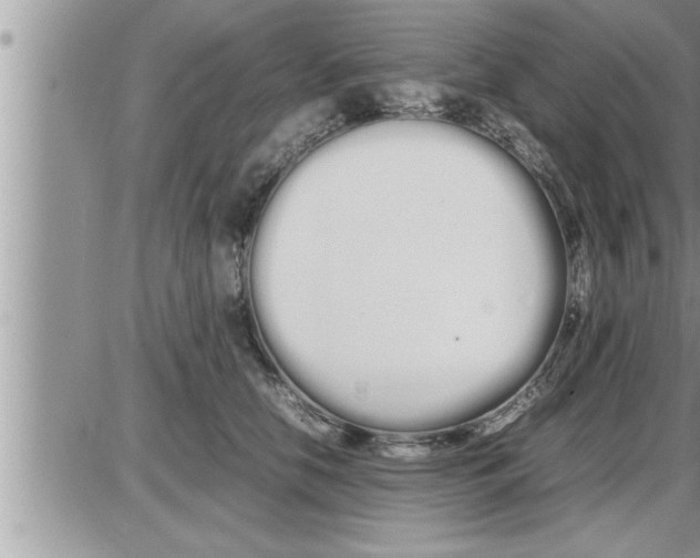 X0000086330658200704271943