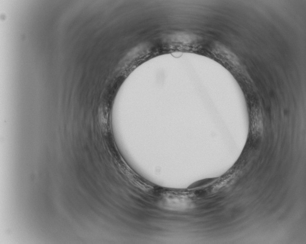 X0000086330661200704271943