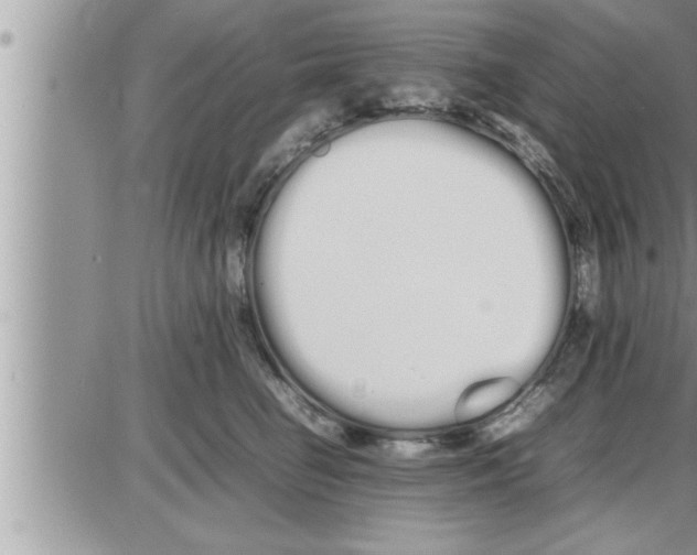 X0000086330662200704271943