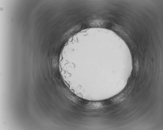 X0000086330665200704271943