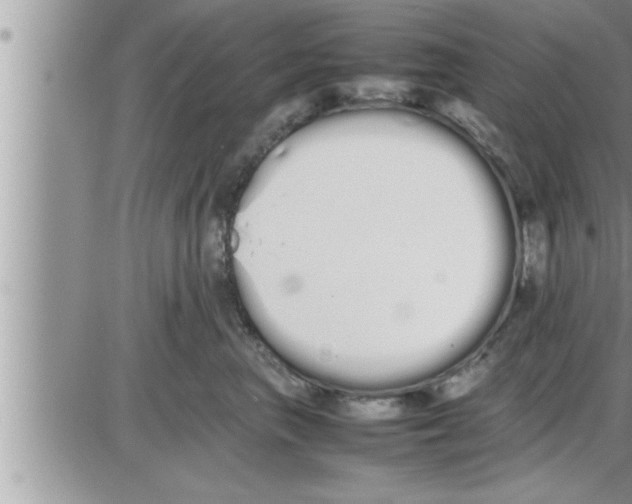 X0000086330667200704271943