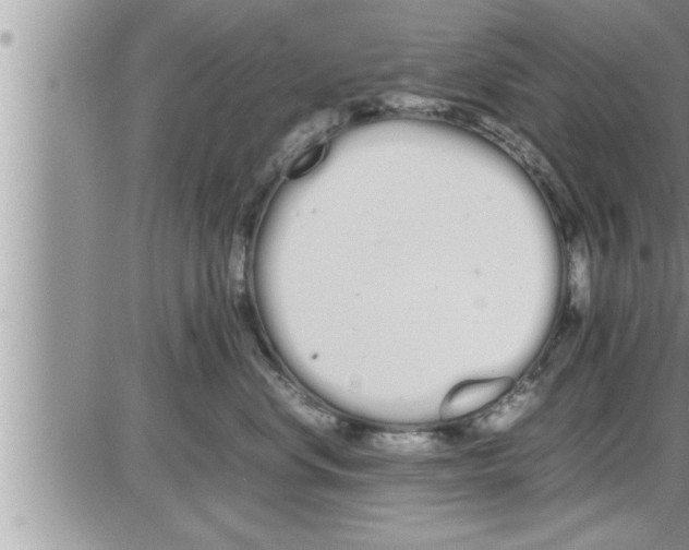 X0000086330668200704271943