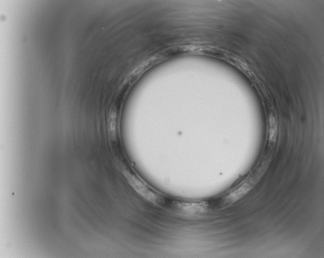 X0000086330670200704271944