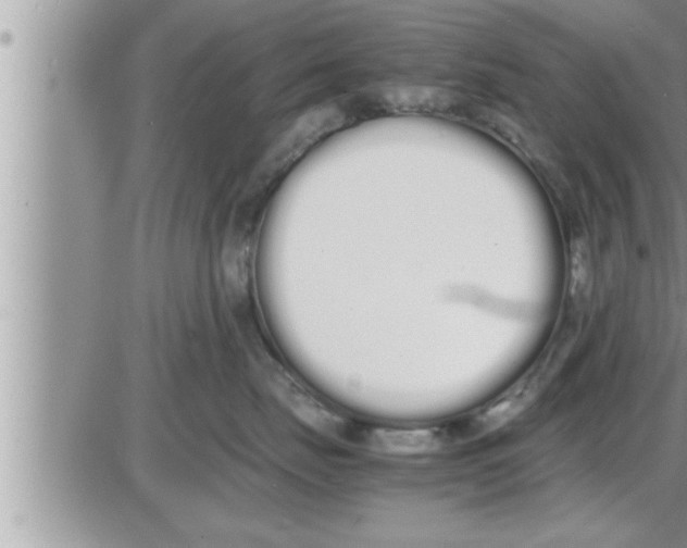 X0000086330671200704271944