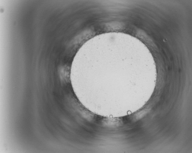 X0000086330672200704271944