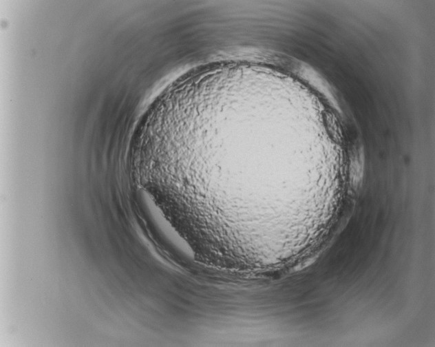 X0000086330674200704271943