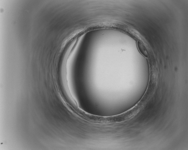 X0000086330677200704271943