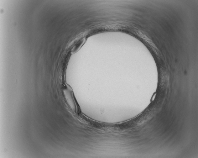 X0000086330681200704271943