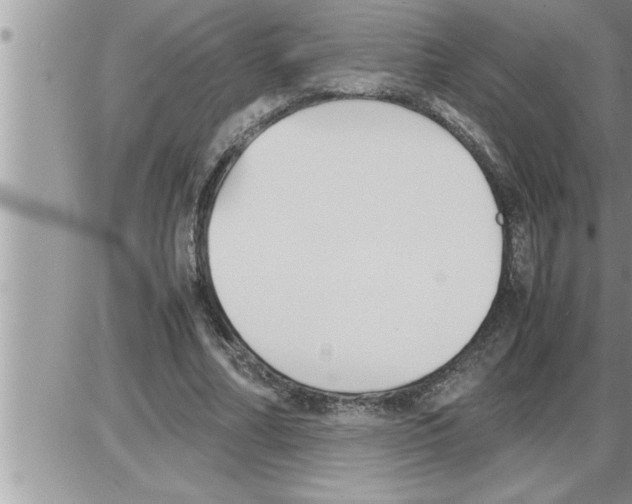 X0000086330682200704271943