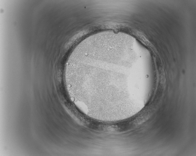 X0000086330683200704271943