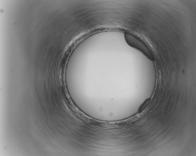 X0000086330684200704271943