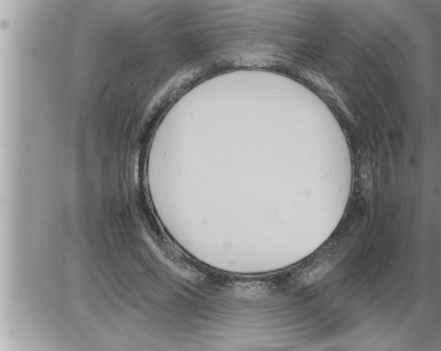 X0000086330686200704271943