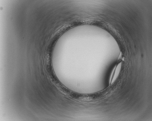 X0000086330689200704271943