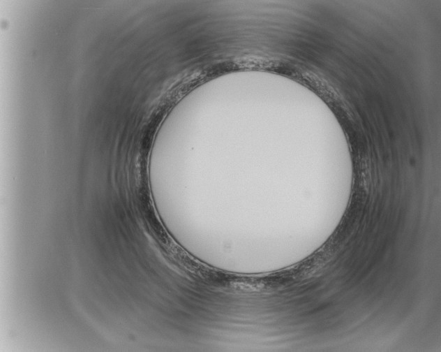 X0000086330690200704271942