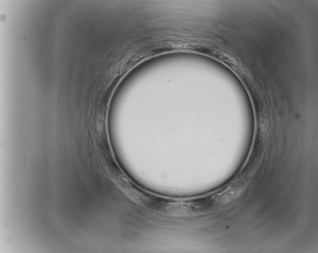 X0000086330691200704271942