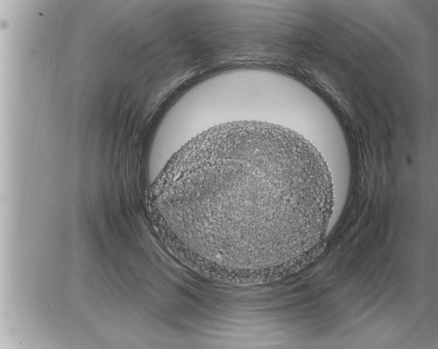 X0000086330692200704271942