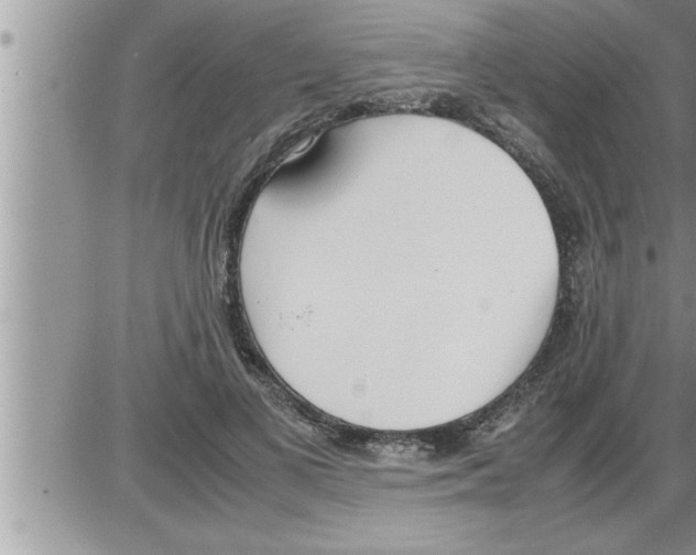 X0000086330693200704271942