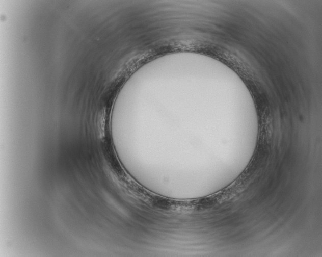 X0000086330694200704271942