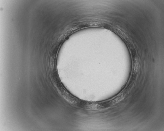 X0000086330695200704271942