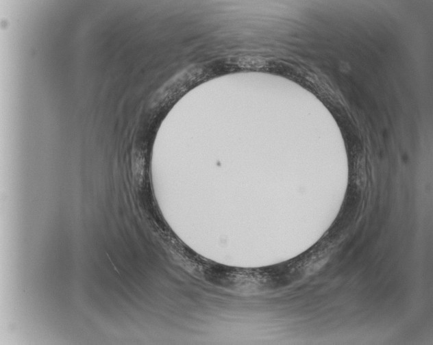 X0000086330697200704271942