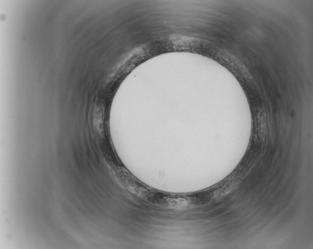 X0000086330698200704271942