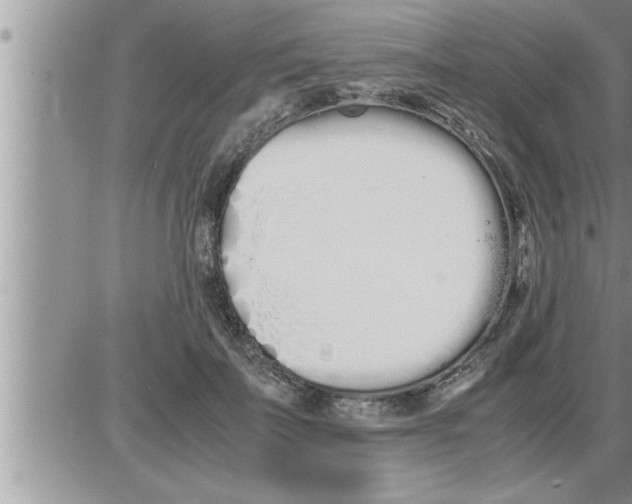 X0000086330699200704271942