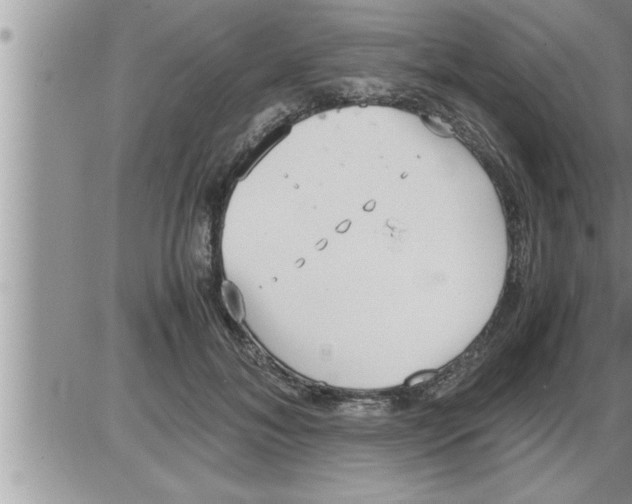 X0000086330700200704271942