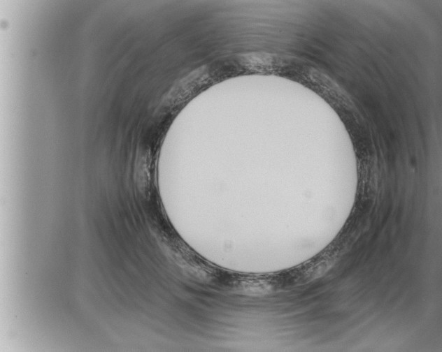 X0000086330702200704271942