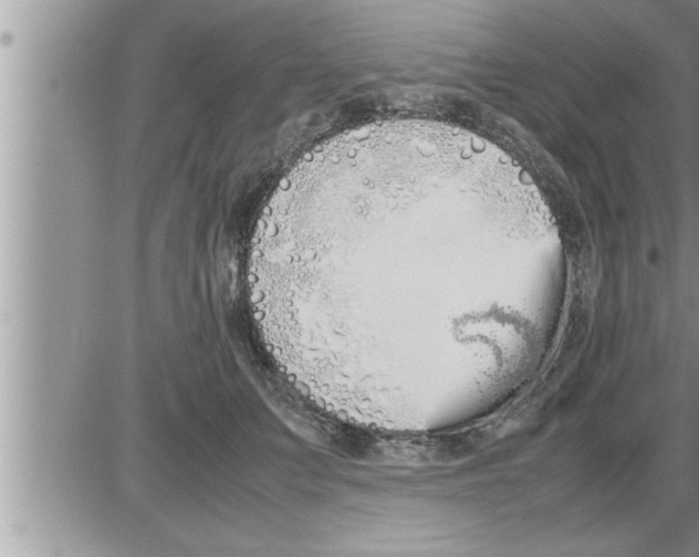 X0000086330703200704271942