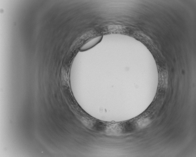 X0000086330705200704271942