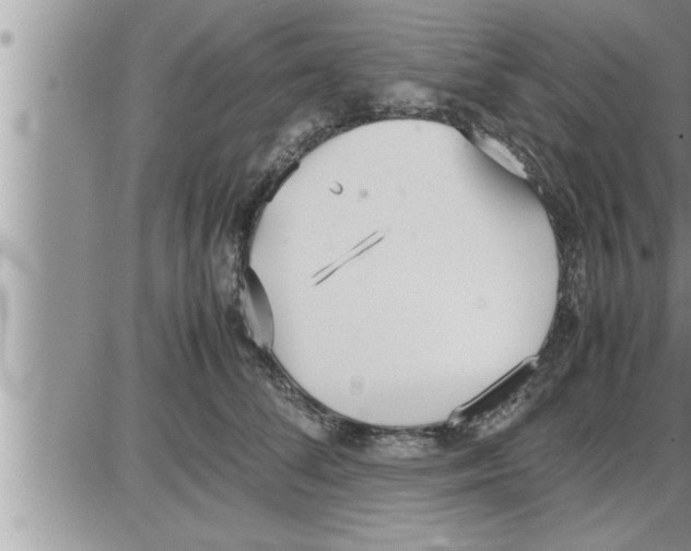 X0000086330708200704271942