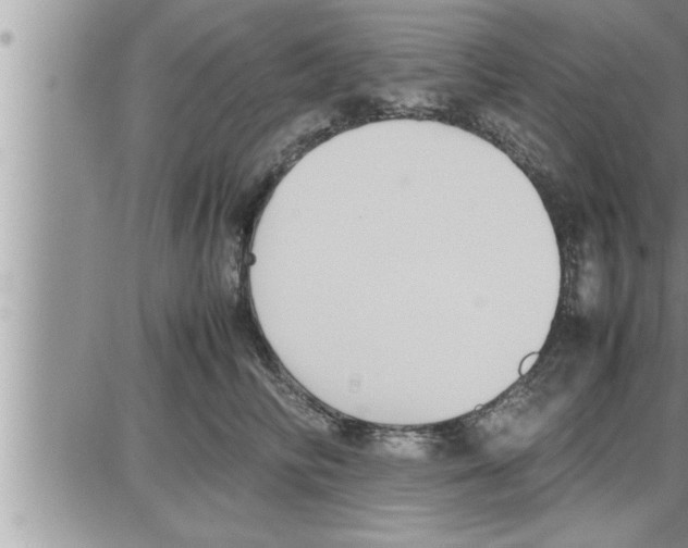 X0000086330710200704271942