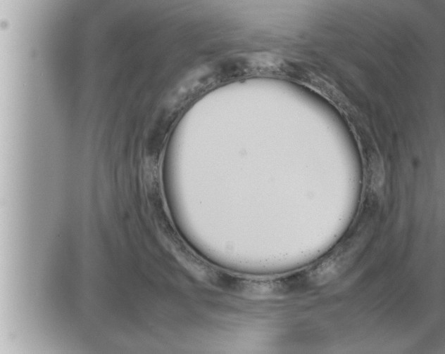 X0000086330711200704271942