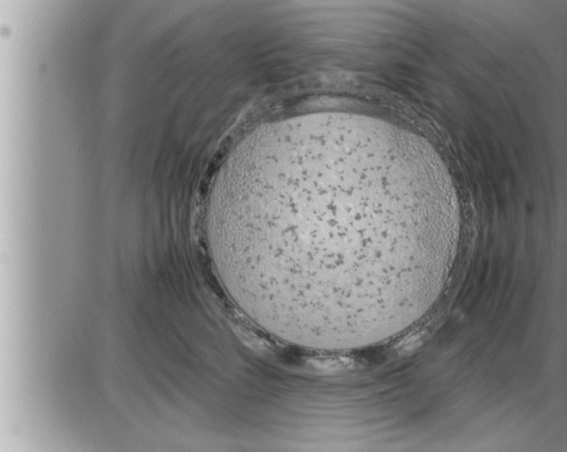 X0000086330712200704271942