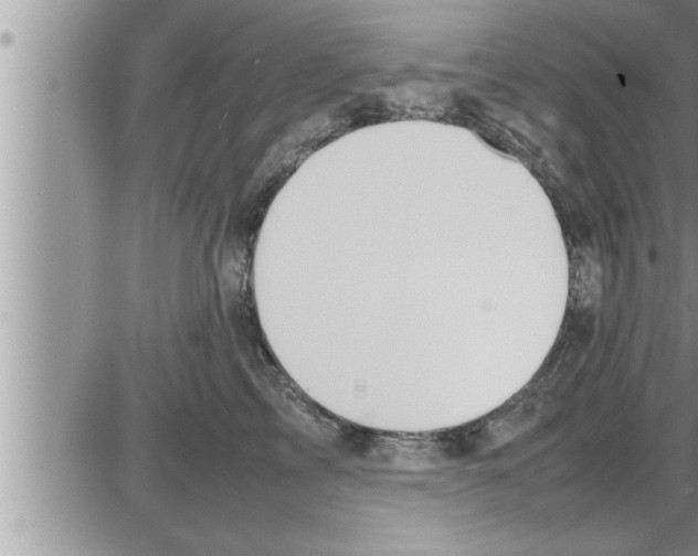 X0000086330713200704271942