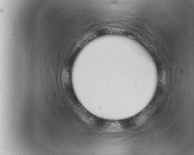 X0000086330715200704271942