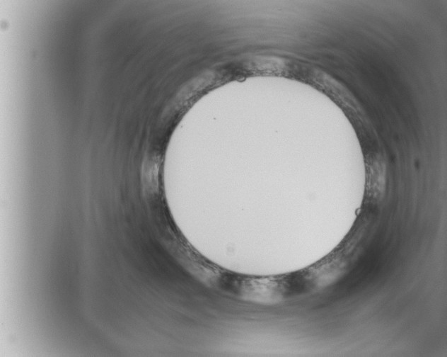 X0000086330717200704271942